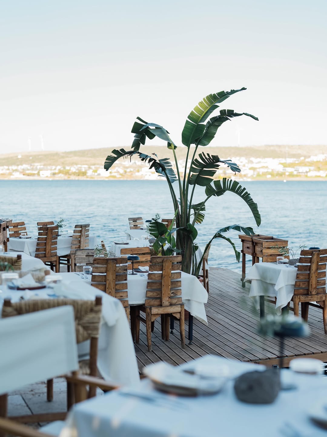 Ritüel - Restaurant in Şifne, Çeşme