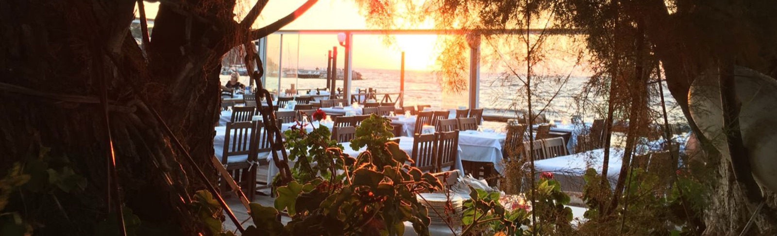 Hasan'ın Yeri – Restaurant in Yalıkavak, Bodrum