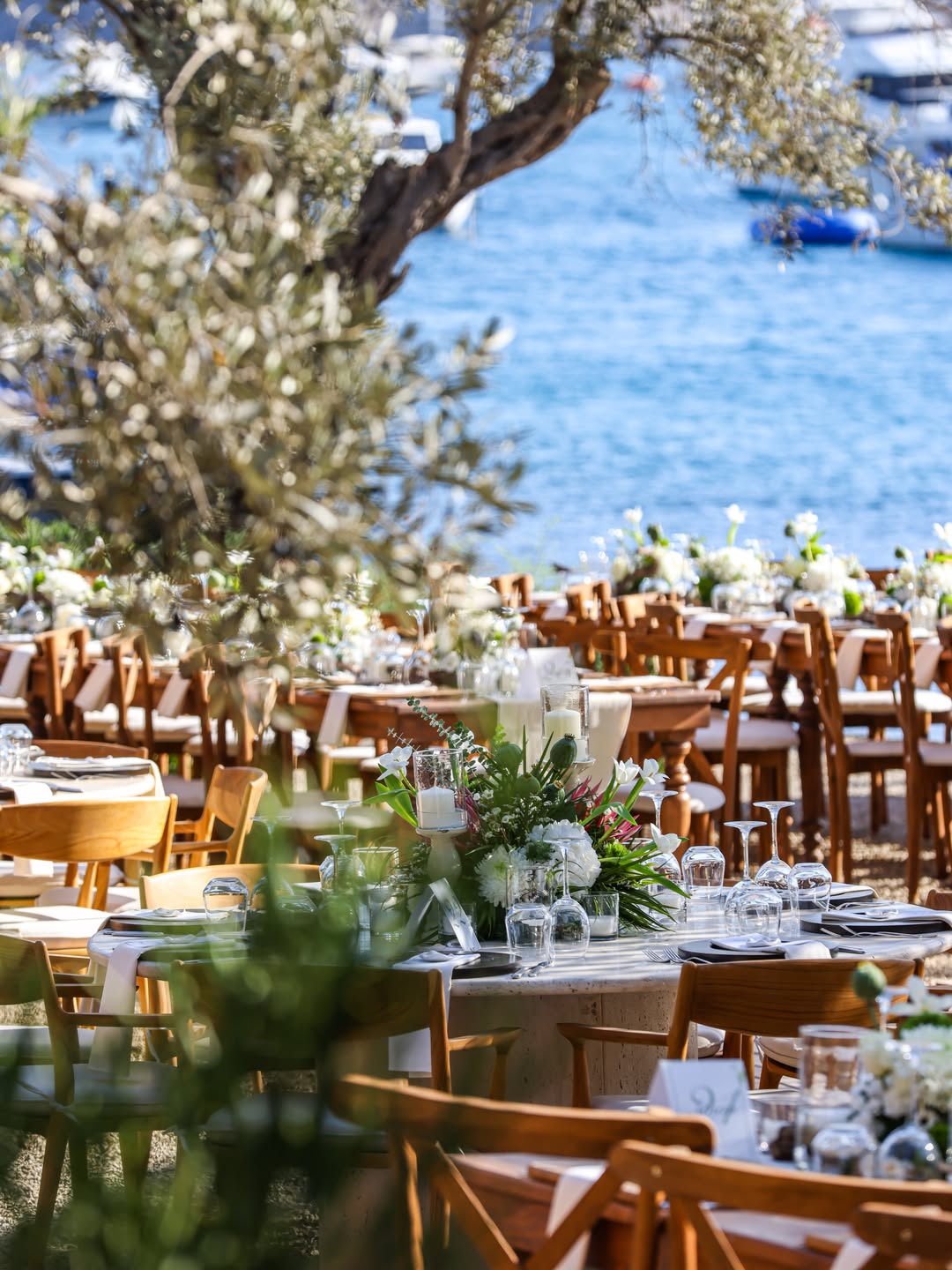 Sia Eli - Restaurant in Gümüşlük, Bodrum